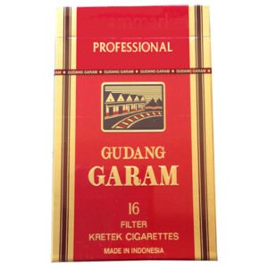 Gudang Garam Professional